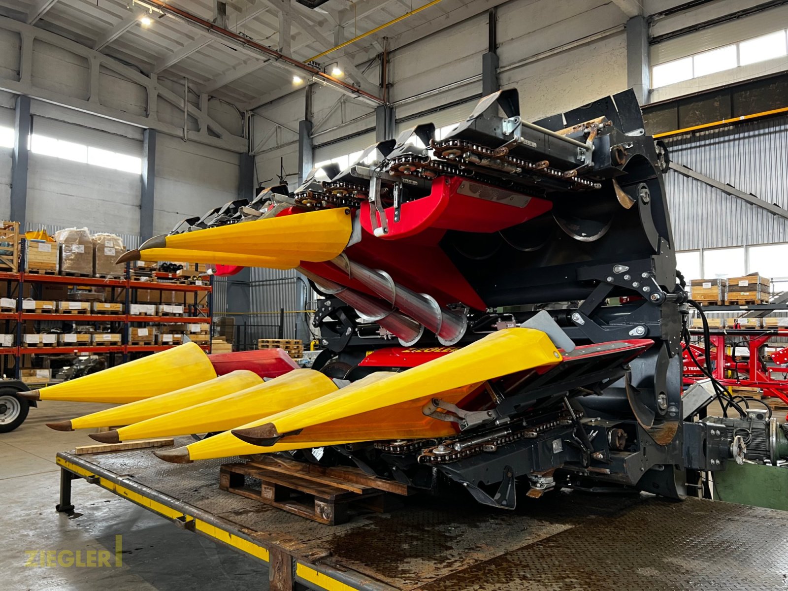 Maispflückvorsatz типа Ziegler Corn Master X 6x75cm, Gebrauchtmaschine в Pöttmes (Фотография 11)