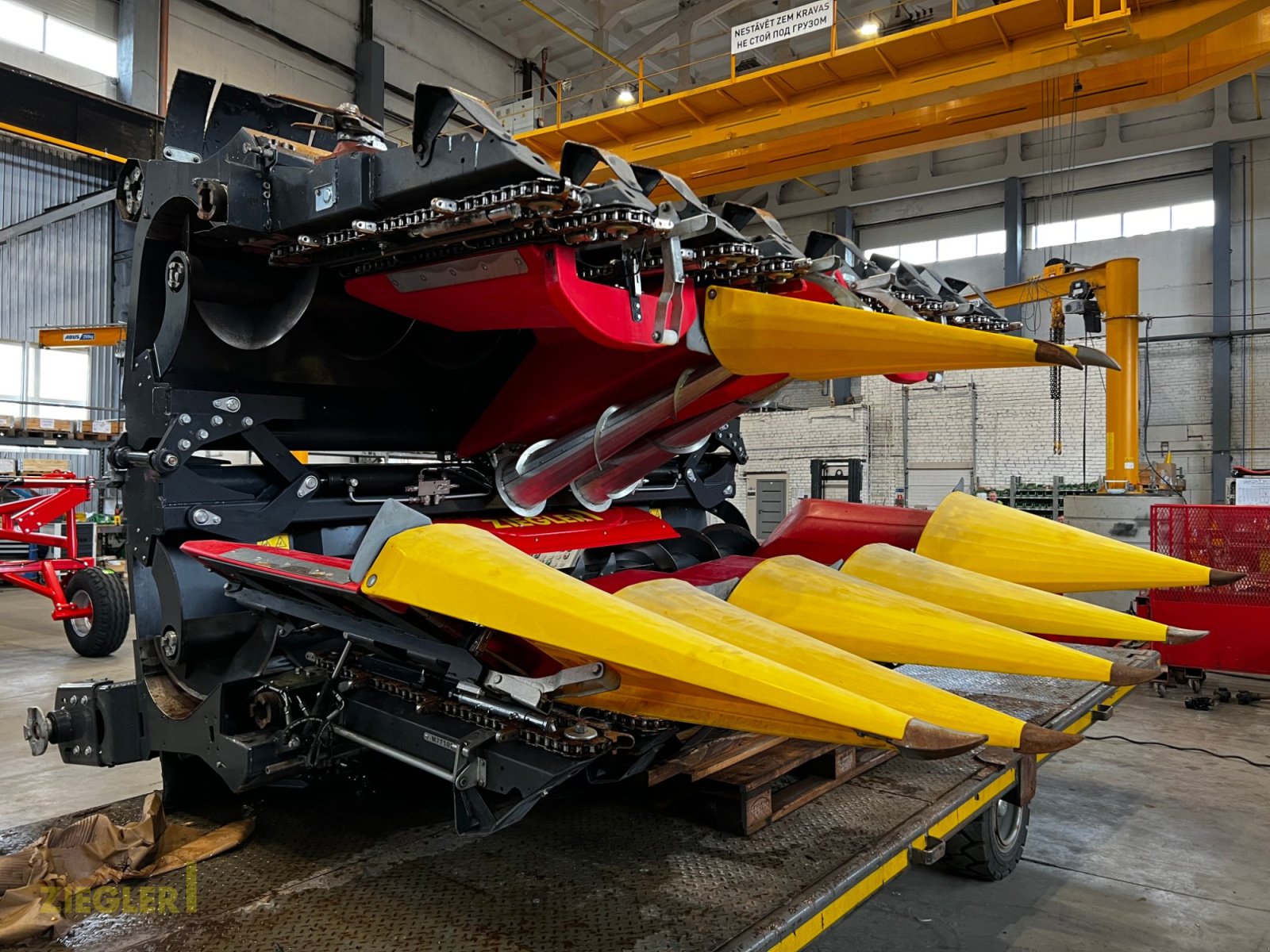 Maispflückvorsatz типа Ziegler Corn Master X 6x75cm, Gebrauchtmaschine в Pöttmes (Фотография 12)