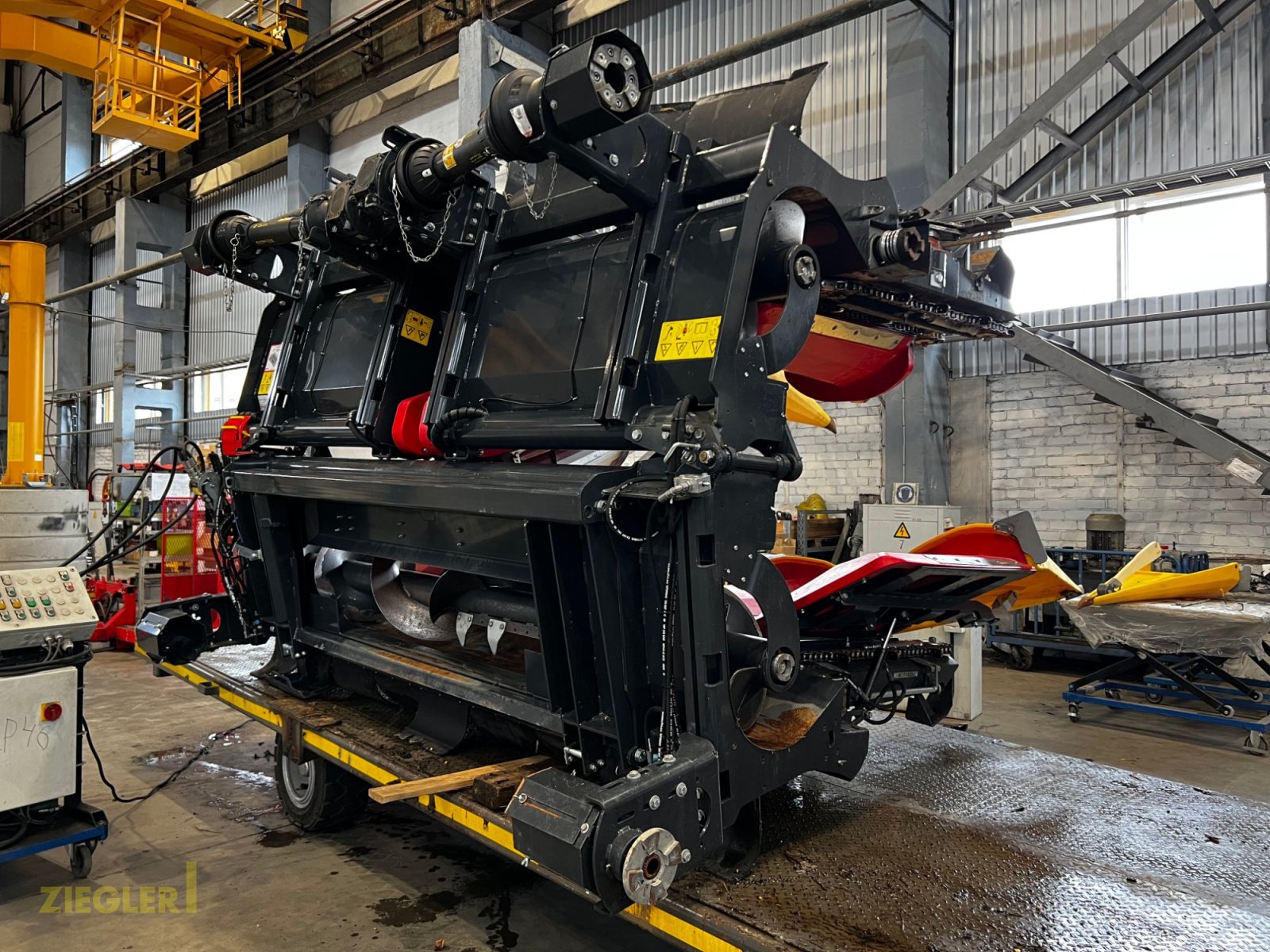 Maispflückvorsatz типа Ziegler Corn Master X 6x75cm, Gebrauchtmaschine в Pöttmes (Фотография 13)