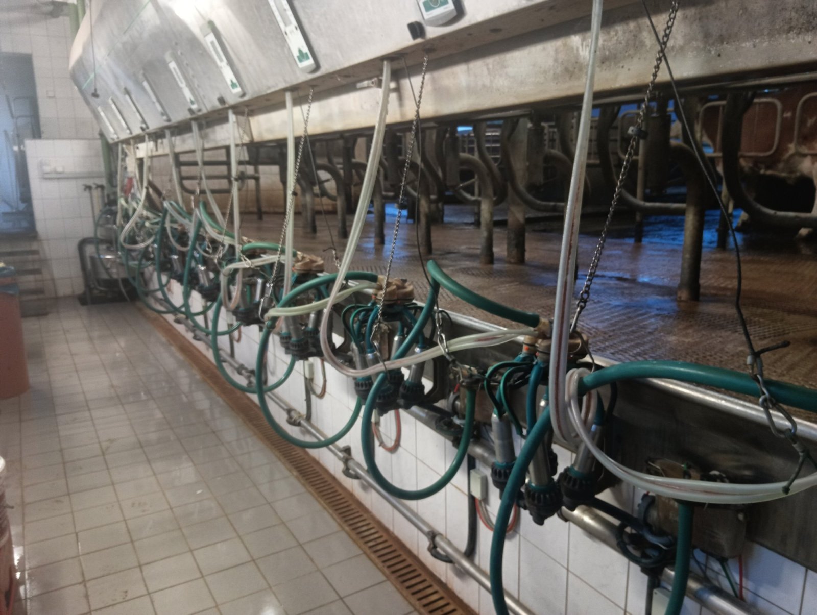 Melkanlage van het type GEA Farm Technologies Melkstand, Gebrauchtmaschine in Bad Feilnbach (Foto 1)