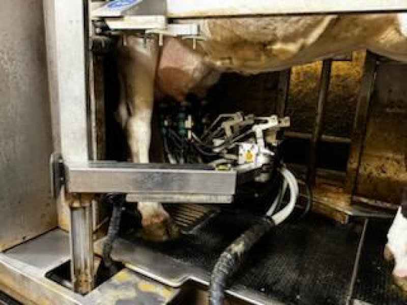 Melkanlage Türe ait Westfalia MI One, Gebrauchtmaschine içinde BRAY en Val (resim 10)