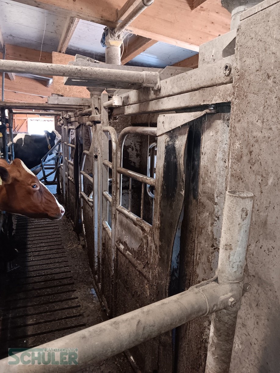 Melkroboter typu GEA Farm Technologies MIone, Gebrauchtmaschine v St. Märgen (Obrázok 5)