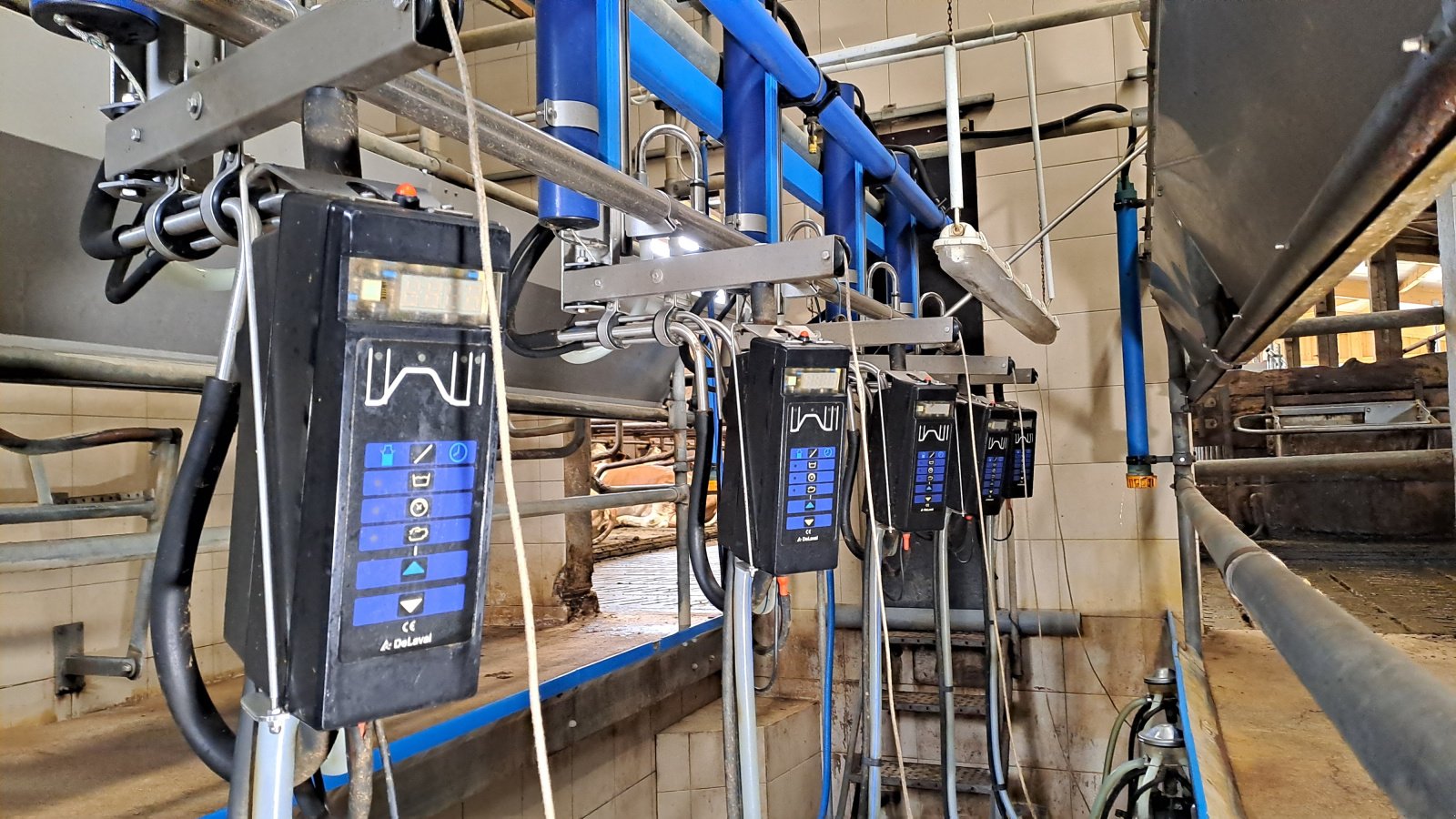 Melkstand typu Alfa Laval Melkanlage, Gebrauchtmaschine v Schwarzenbruck / Altenthann (Obrázek 2)