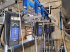 Melkstand typu Alfa Laval Melkanlage, Gebrauchtmaschine v Schwarzenbruck / Altenthann (Obrázek 2)
