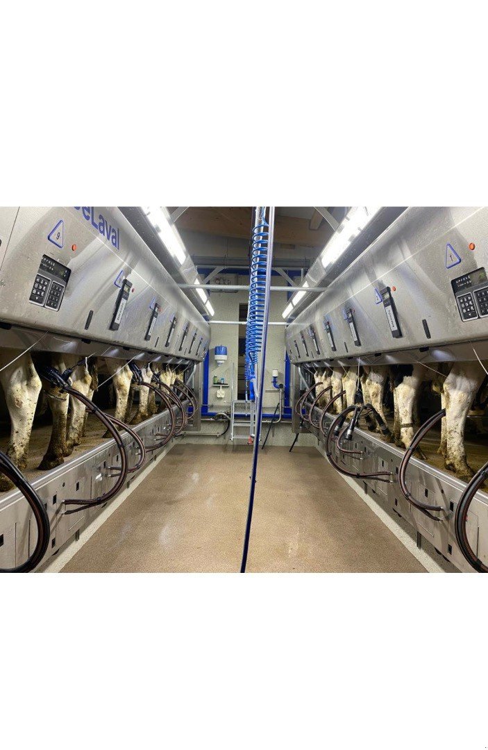 Melkstand des Typs Alfa Laval P100, Gebrauchtmaschine in Estavannens (Bild 2)