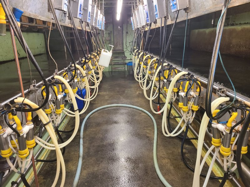 Melkstand typu Boumatic Melkstand, Gebrauchtmaschine w Straßwalchen (Zdjęcie 1)