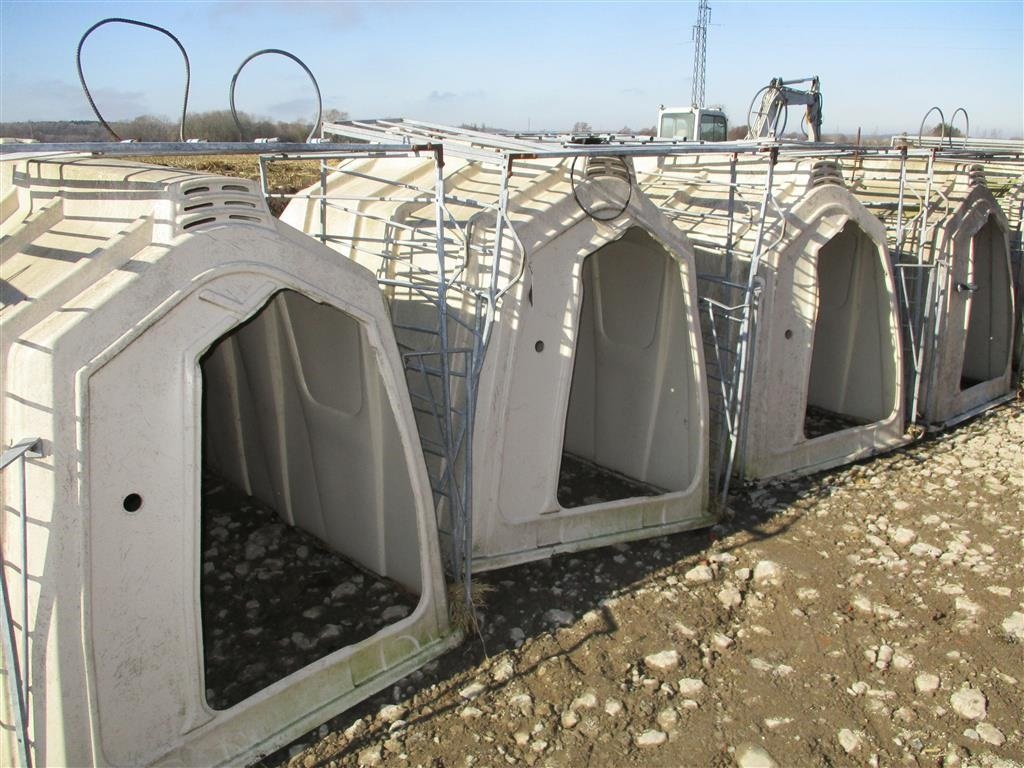 Melkstand des Typs Calf House 15 stykker Kalvehytter, Gebrauchtmaschine in Høng (Bild 8)