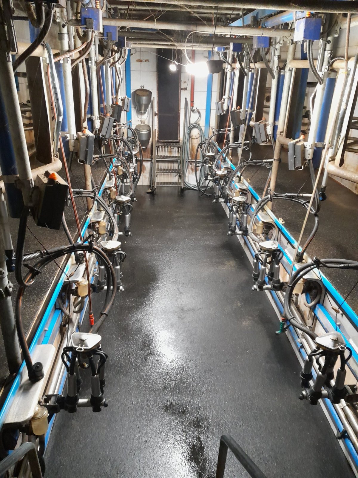 Melkstand tipa DeLaval Fischgräte, Gebrauchtmaschine u Pirkach (Slika 1)