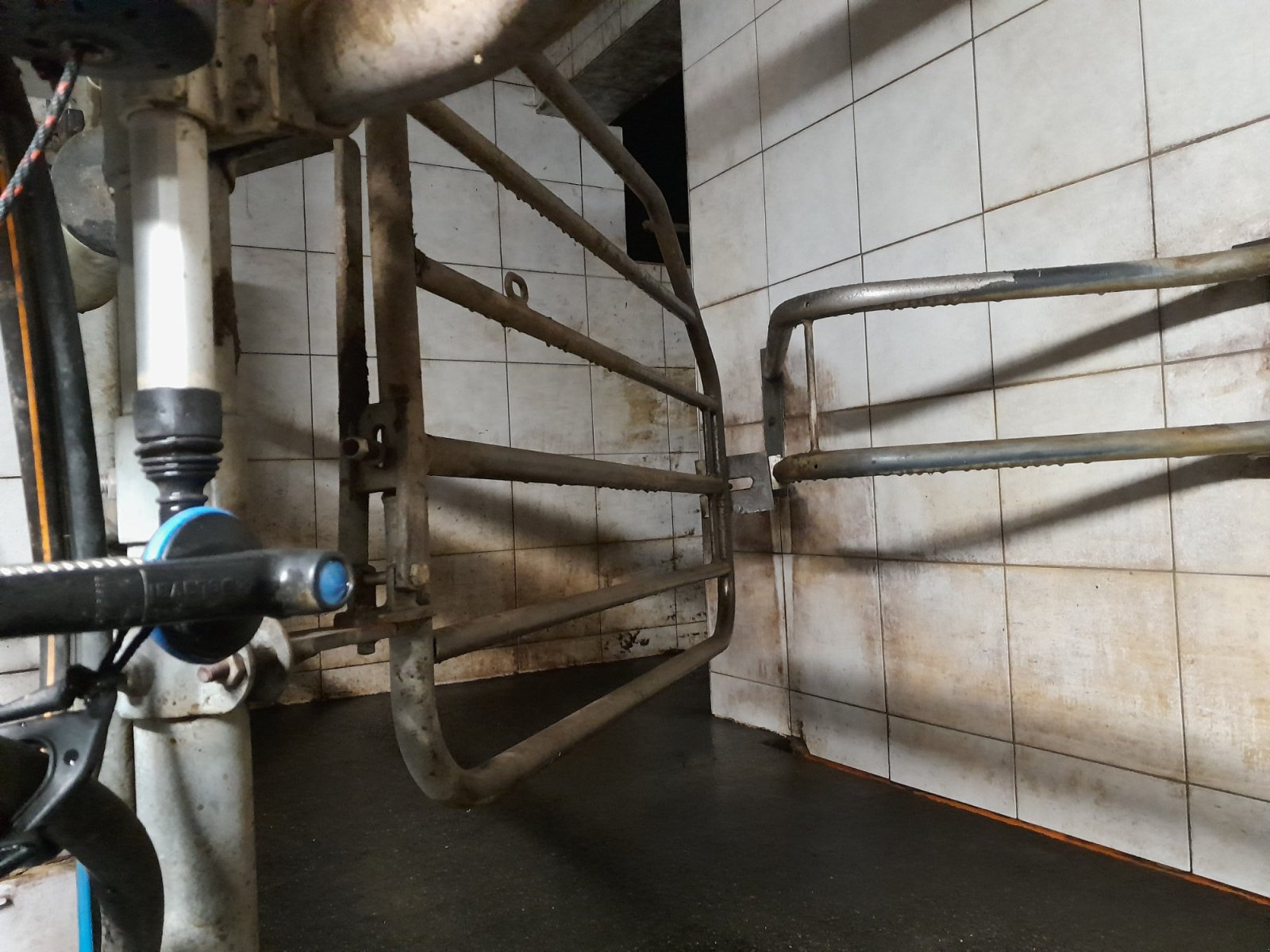 Melkstand tipa DeLaval Fischgräte, Gebrauchtmaschine u Pirkach (Slika 12)