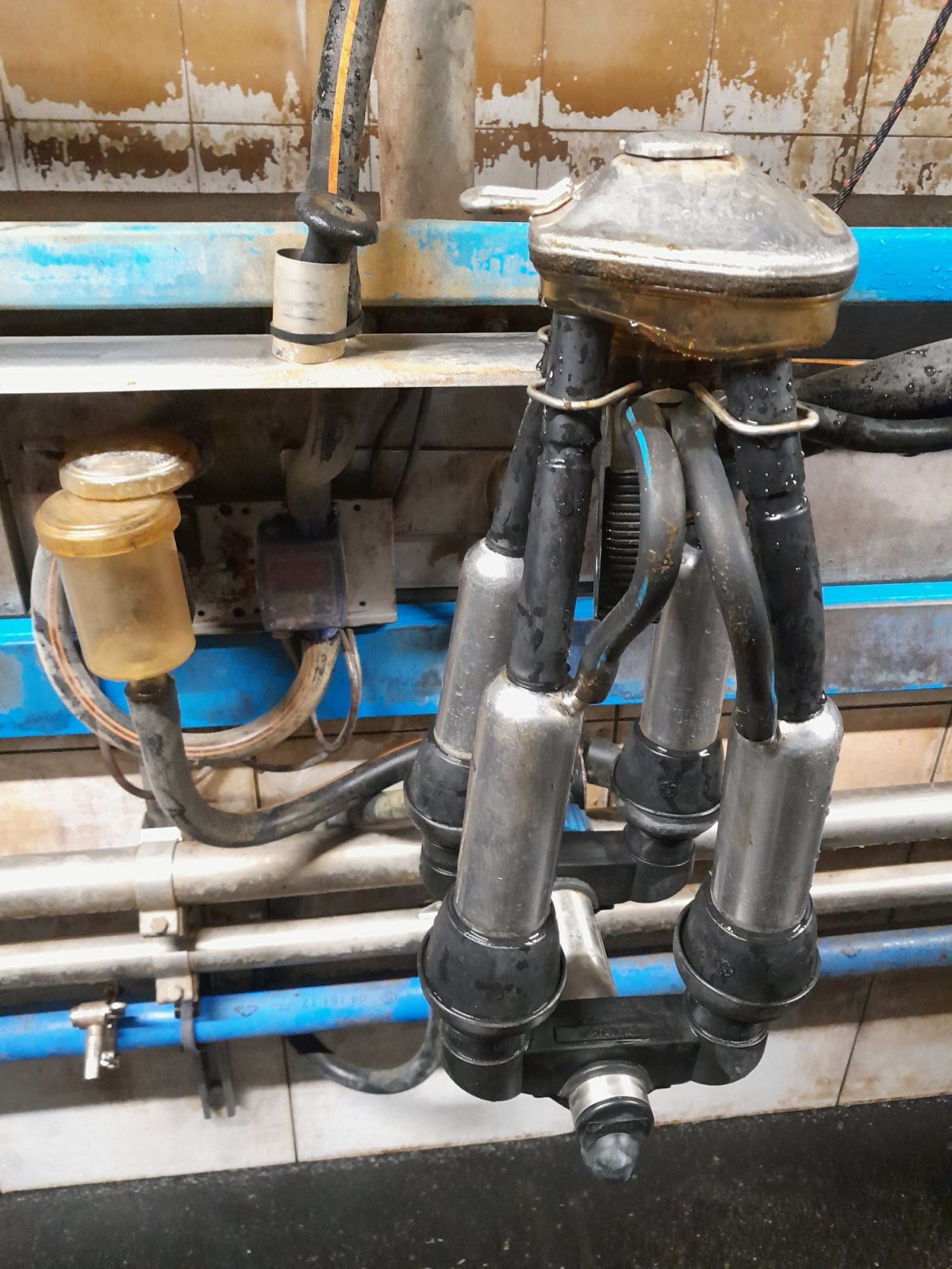 Melkstand tipa DeLaval Fischgräte, Gebrauchtmaschine u Pirkach (Slika 16)