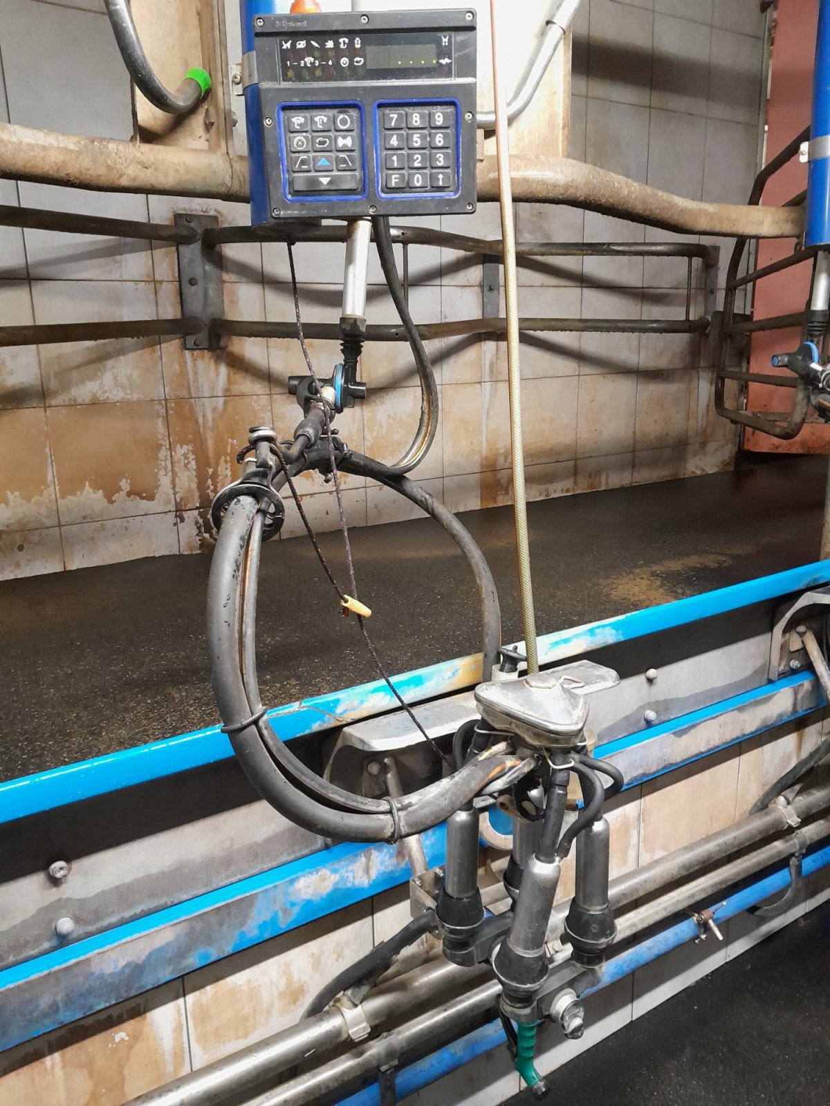 Melkstand tipa DeLaval Fischgräte, Gebrauchtmaschine u Pirkach (Slika 18)