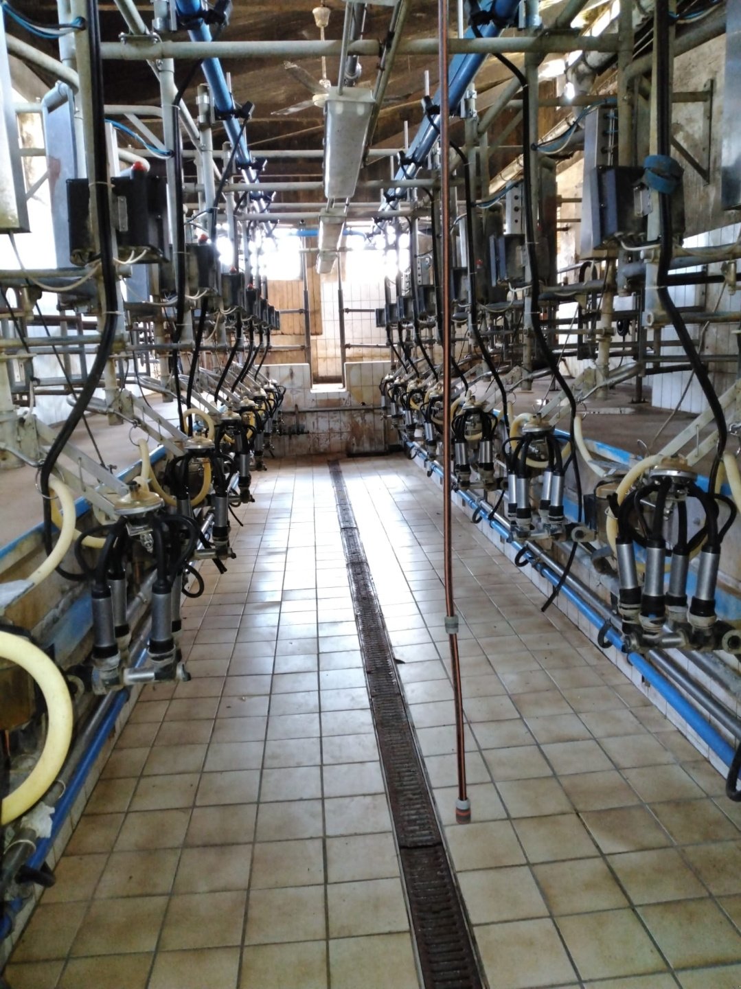 Melkstand от тип DeLaval Fmg30, Gebrauchtmaschine в Egling (Снимка 1)