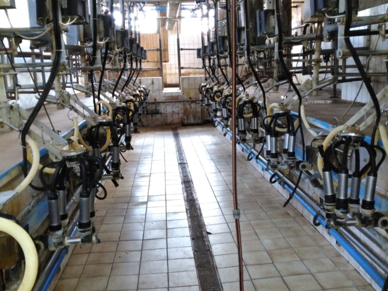 Melkstand typu DeLaval Fmg30, Gebrauchtmaschine v Egling (Obrázek 1)