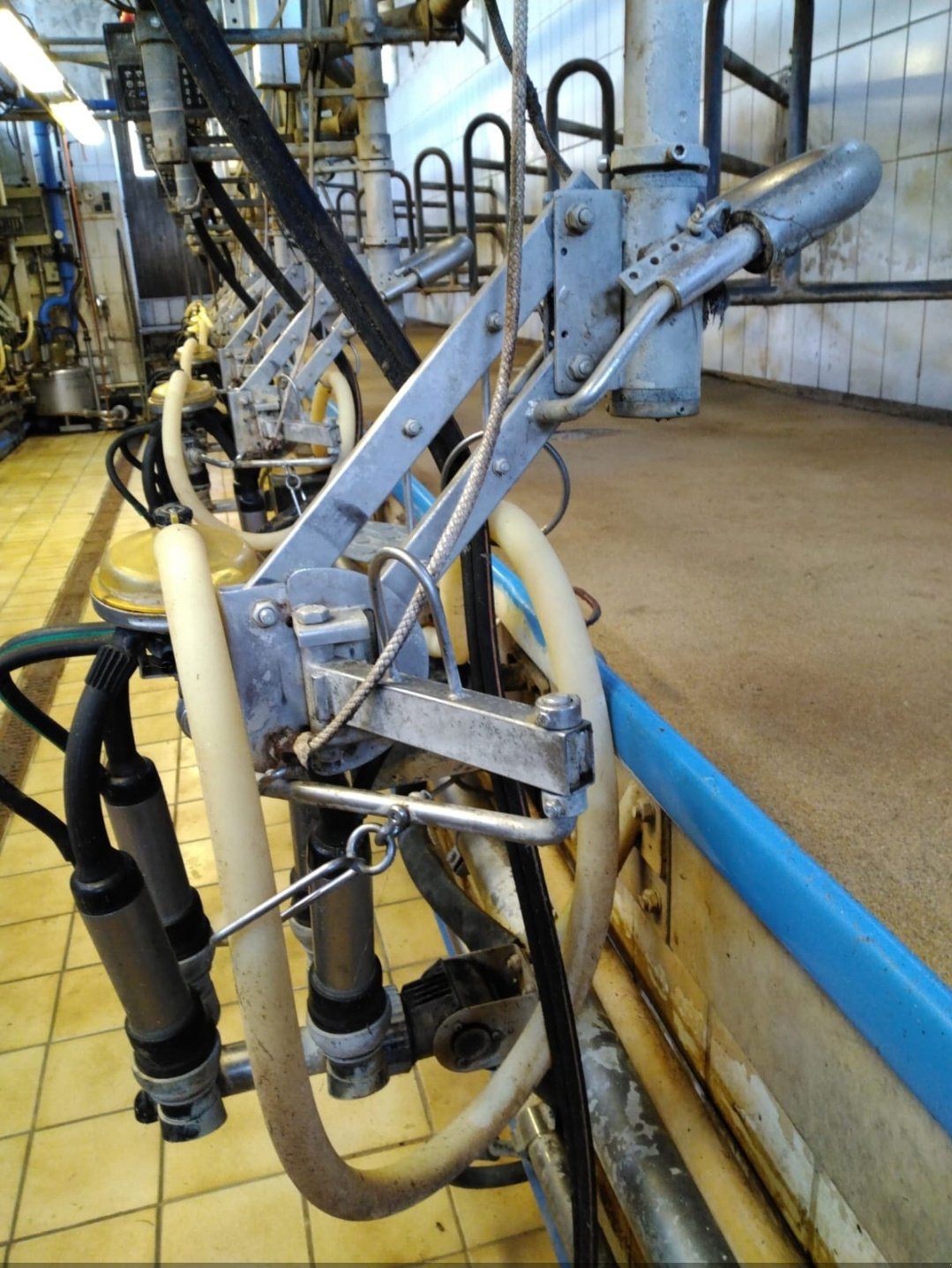 Melkstand от тип DeLaval Fmg30, Gebrauchtmaschine в Egling (Снимка 2)