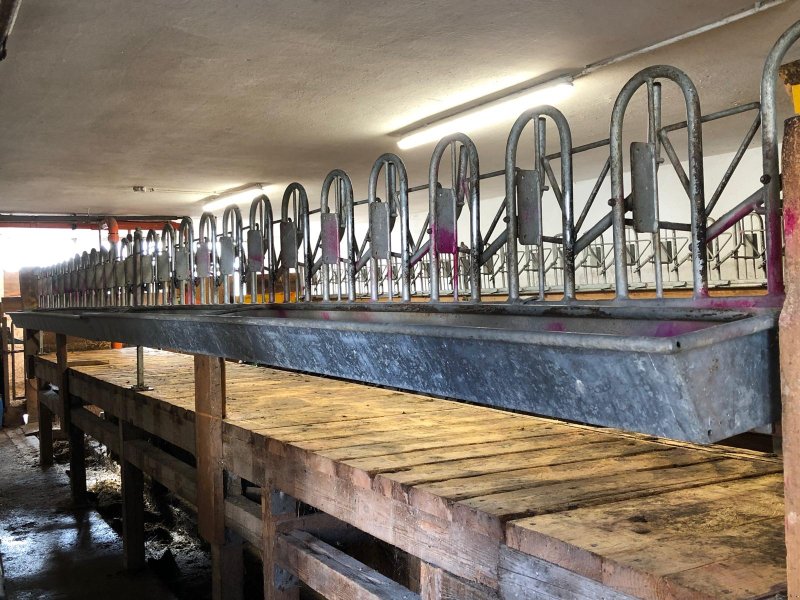 Melkstand of the type Köhler Melkstandaufbau Ziegen/Schafe, Gebrauchtmaschine in Rappottenstein (Picture 1)