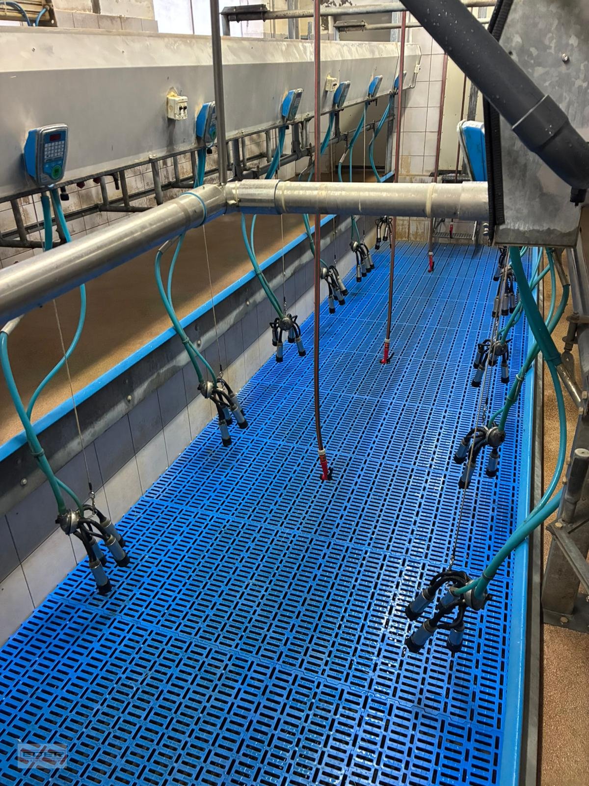 Melkstand of the type Melkstand Lemmer Fullwood Fullwood, Gebrauchtmaschine in Fischbachau (Picture 1)