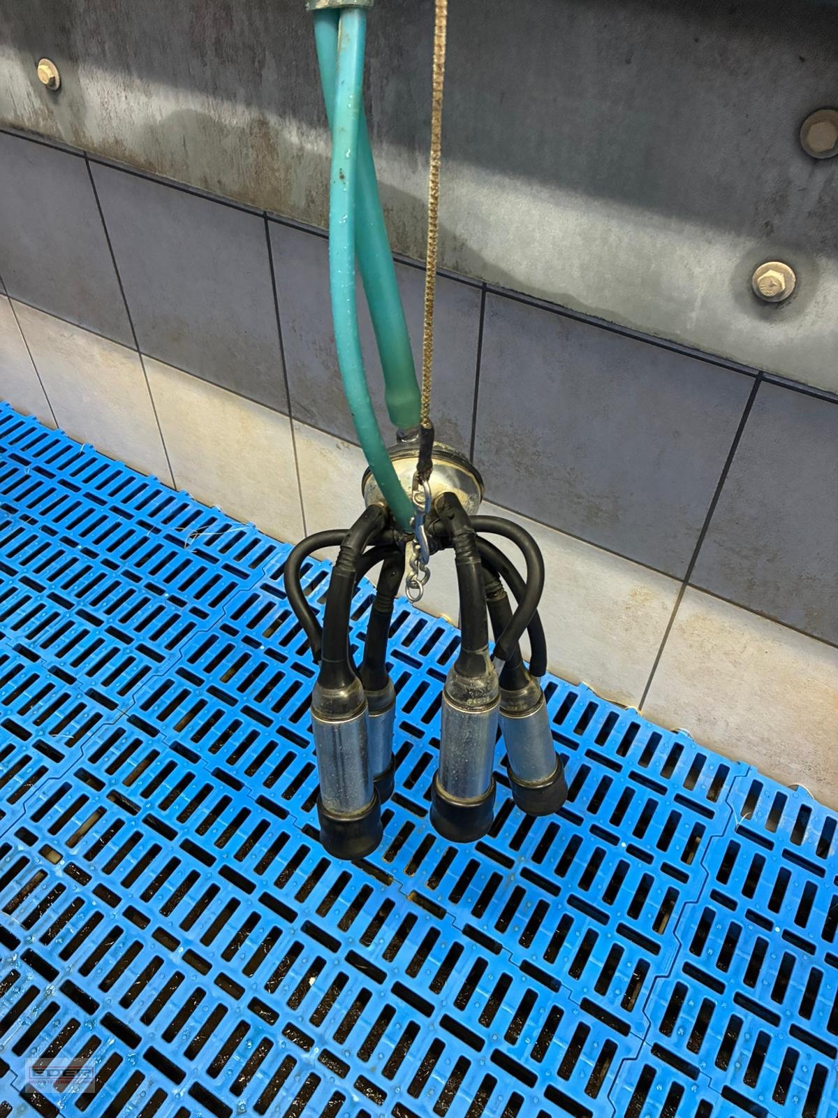 Melkstand of the type Melkstand Lemmer Fullwood Fullwood, Gebrauchtmaschine in Fischbachau (Picture 4)