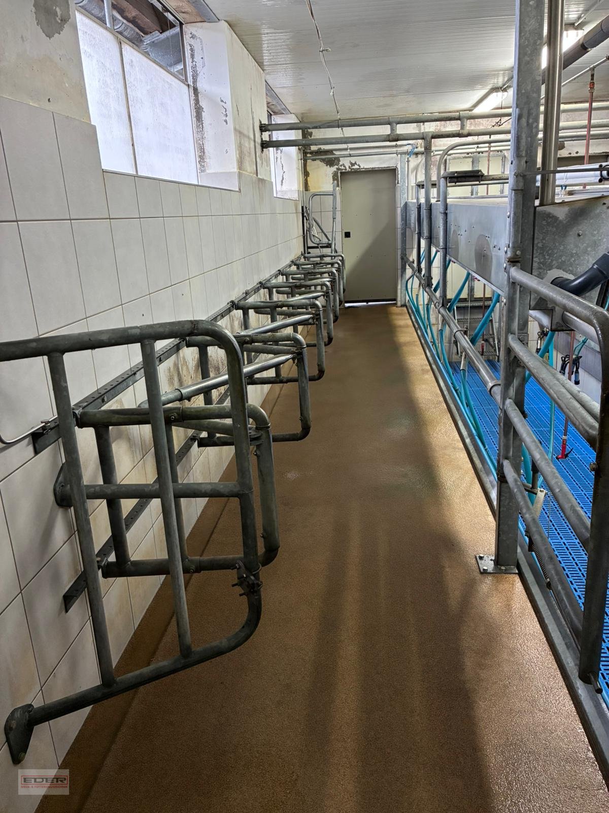 Melkstand of the type Melkstand Lemmer Fullwood Fullwood, Gebrauchtmaschine in Fischbachau (Picture 8)