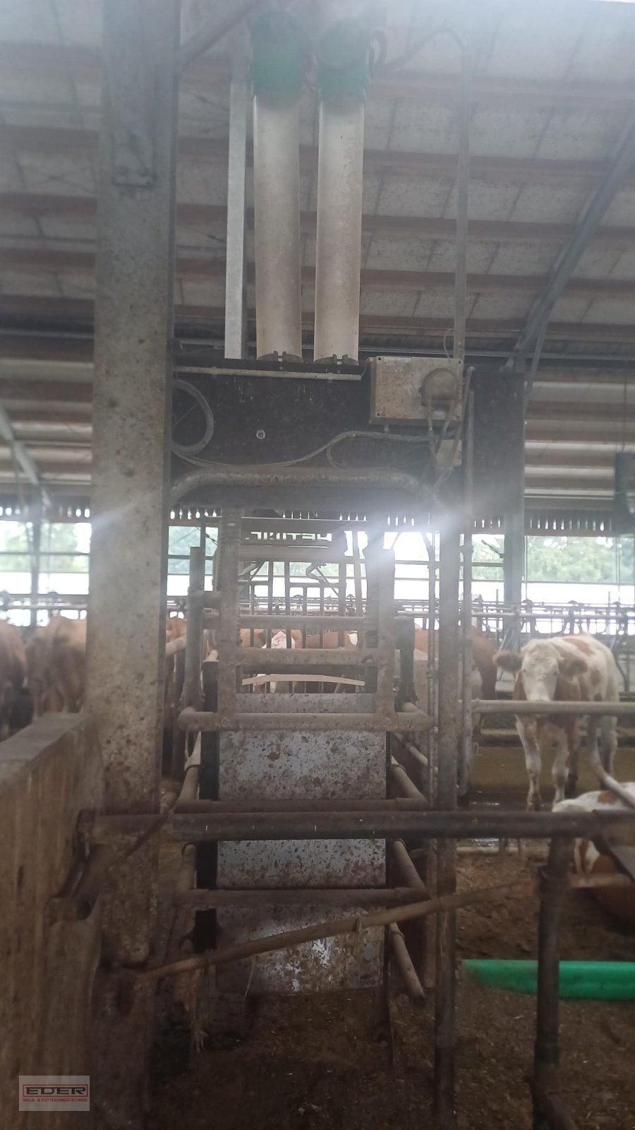 Melkstand of the type Melkstand Lemmer Fullwood Fullwood, Gebrauchtmaschine in Fischbachau (Picture 9)