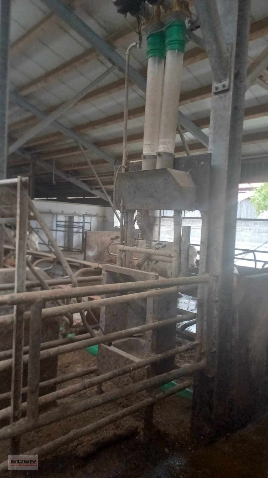 Melkstand of the type Melkstand Lemmer Fullwood Fullwood, Gebrauchtmaschine in Fischbachau (Picture 10)