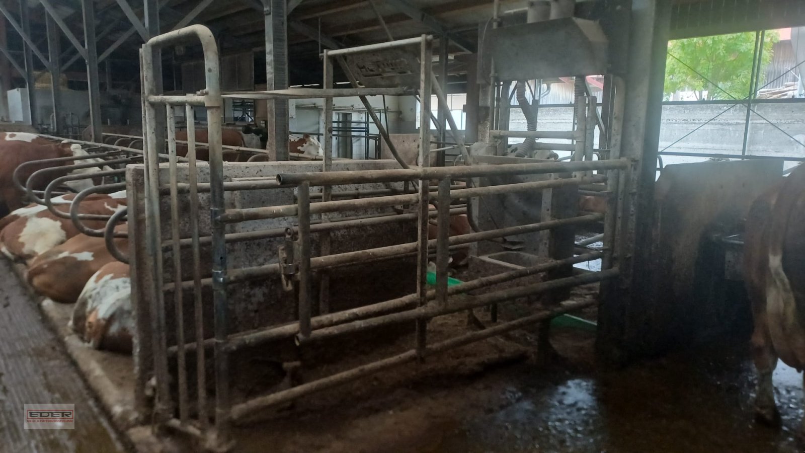 Melkstand of the type Melkstand Lemmer Fullwood Fullwood, Gebrauchtmaschine in Fischbachau (Picture 11)