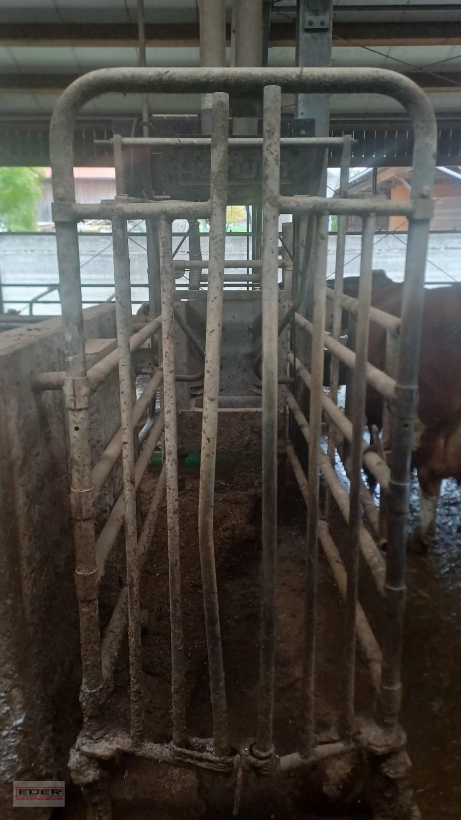 Melkstand of the type Melkstand Lemmer Fullwood Fullwood, Gebrauchtmaschine in Fischbachau (Picture 12)