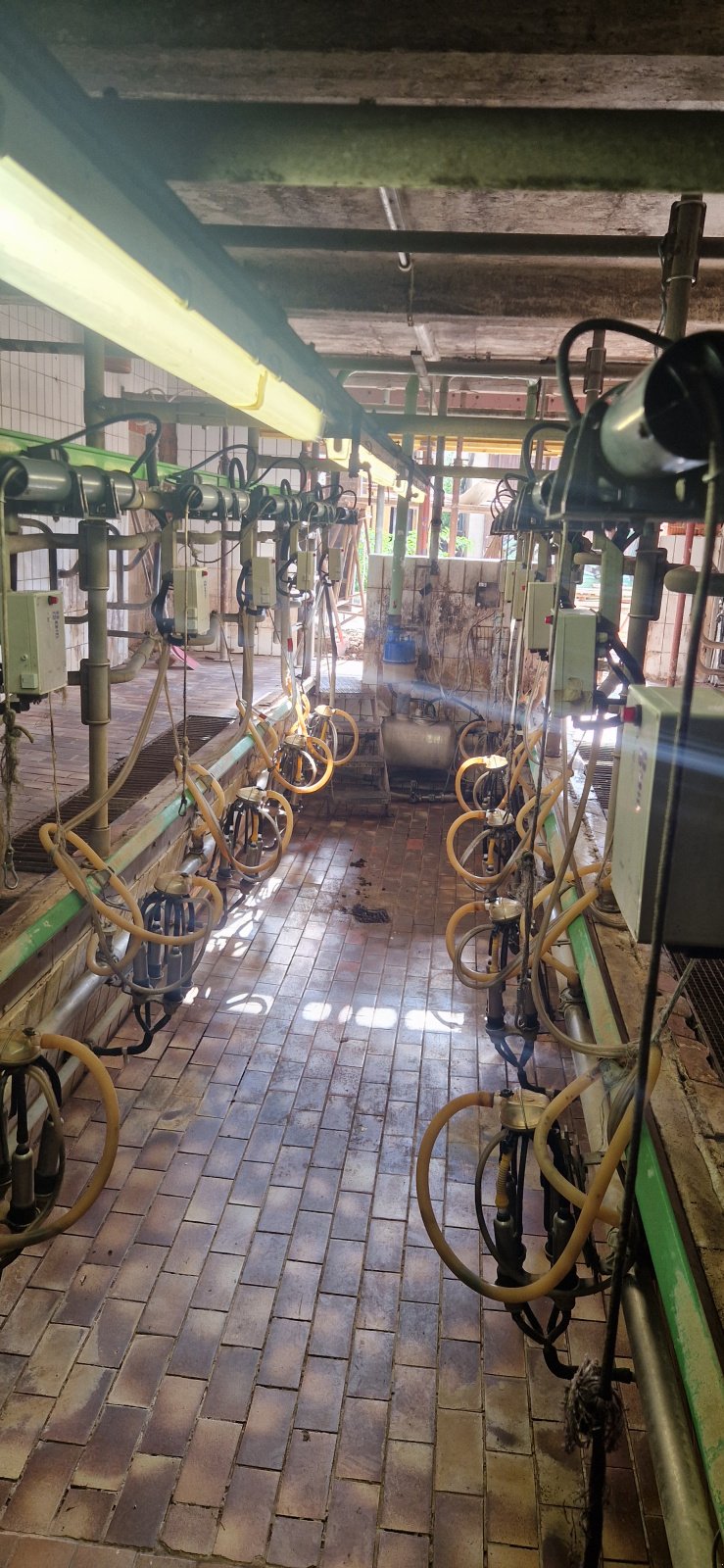 Melkstand типа Miele Meltec 2x6 Fischgräten Melkstand, Gebrauchtmaschine в Theilenhofen (Фотография 1)