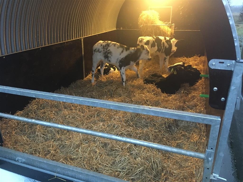 Melkstand типа Sonstige Høj model 10m2, Gebrauchtmaschine в Skive (Фотография 3)