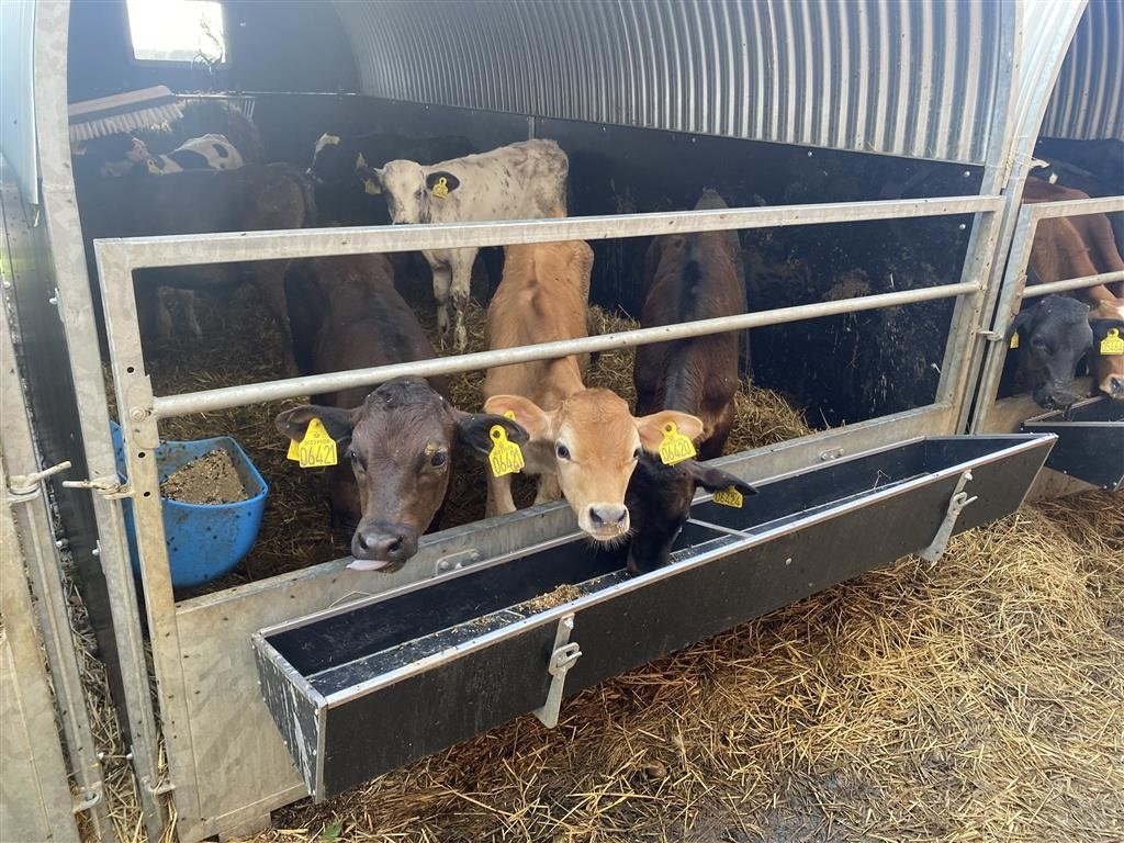 Melkstand типа Sonstige Høj model 10m2, Gebrauchtmaschine в Skive (Фотография 4)