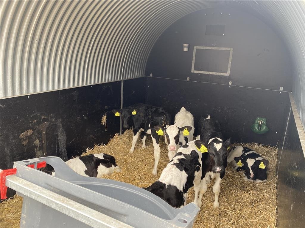 Melkstand типа Sonstige Høj Model  245, Gebrauchtmaschine в Skive (Фотография 2)