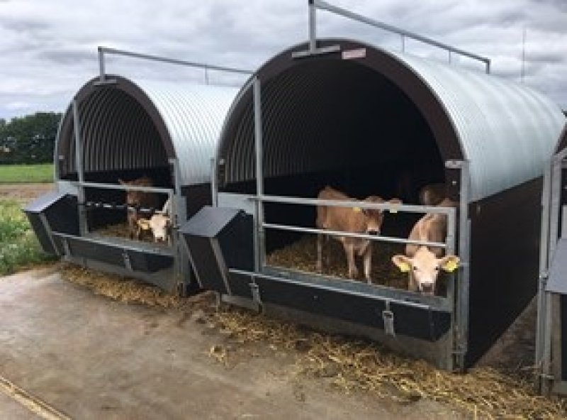 Melkstand типа Sonstige Høj Model  245, Gebrauchtmaschine в Skive (Фотография 15)