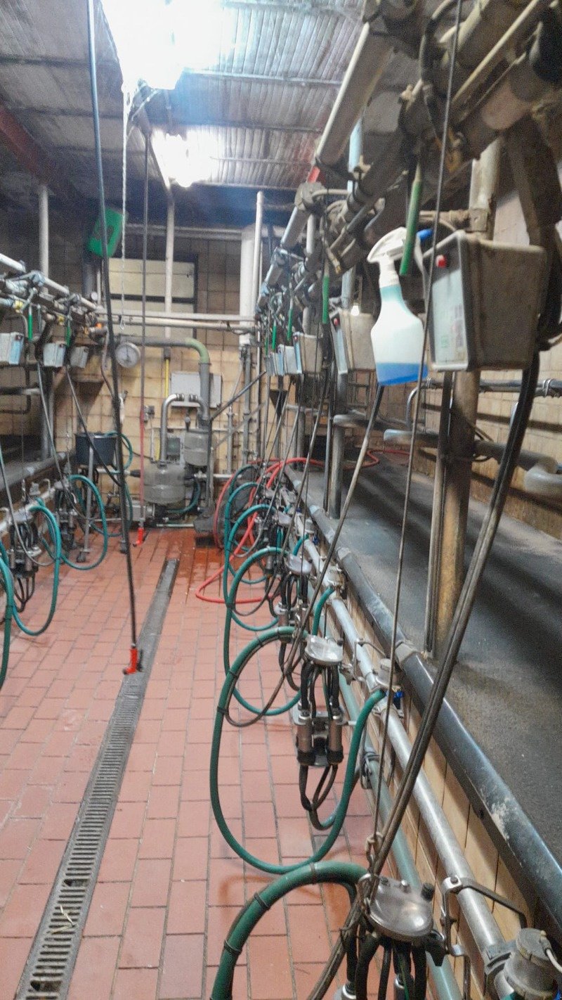 Melkstand Türe ait Sonstige Melkstand, Gebrauchtmaschine içinde Bad Oldesloe (resim 3)