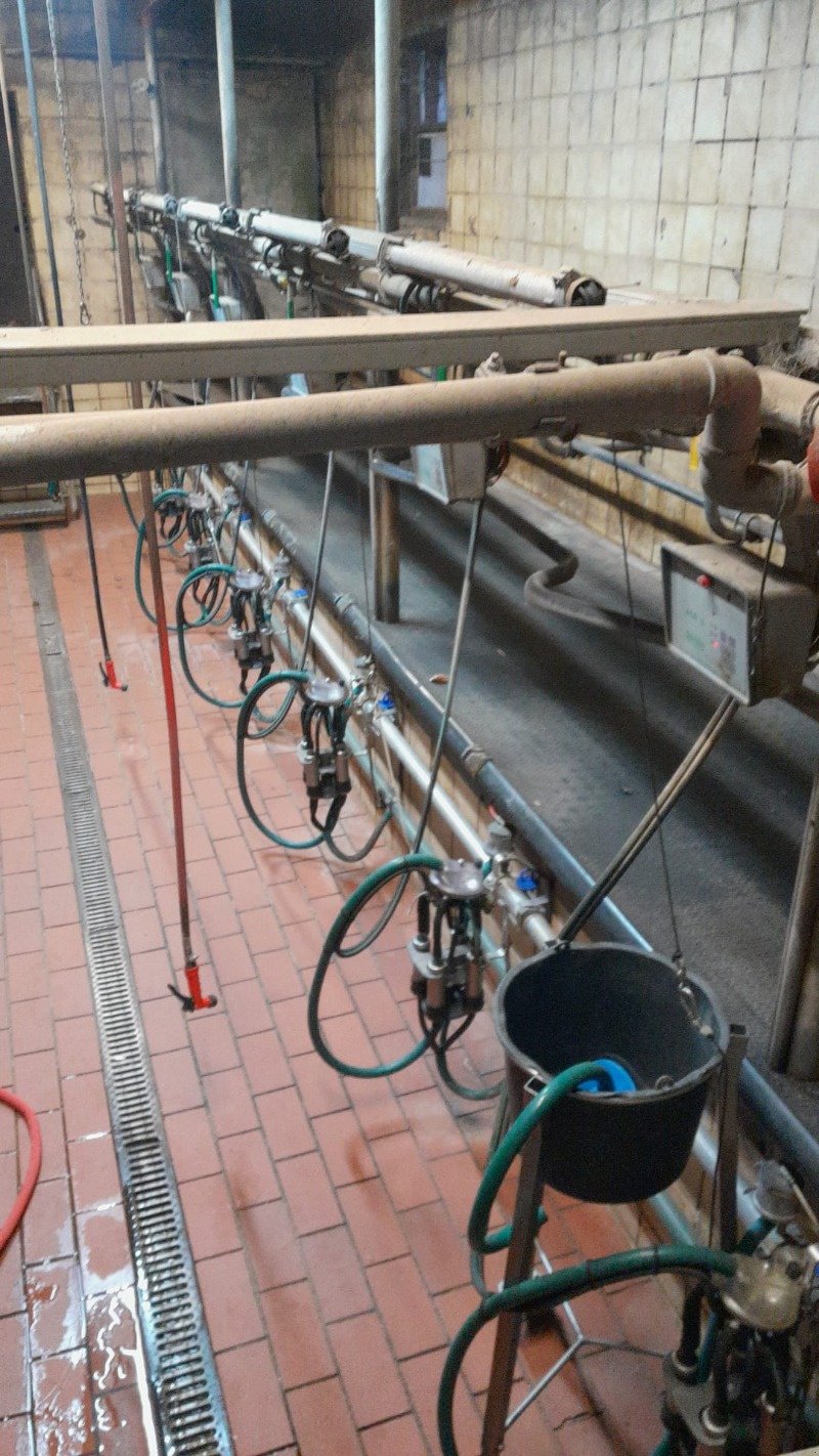 Melkstand Türe ait Sonstige Melkstand, Gebrauchtmaschine içinde Bad Oldesloe (resim 4)