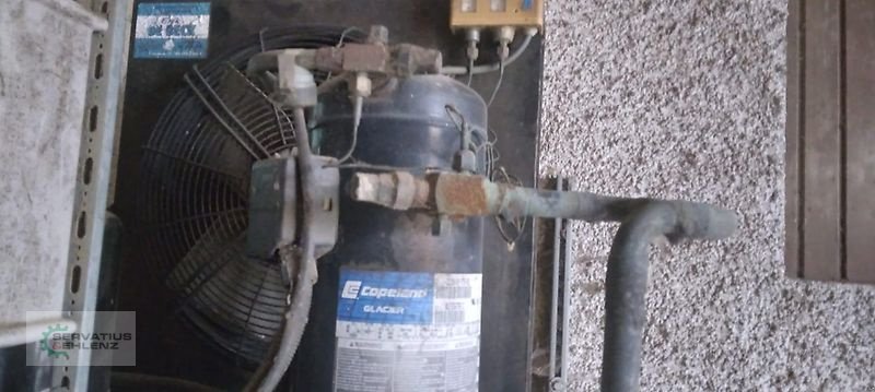 Milchtank del tipo Müller 4200, Gebrauchtmaschine en Rittersdorf (Imagen 4)