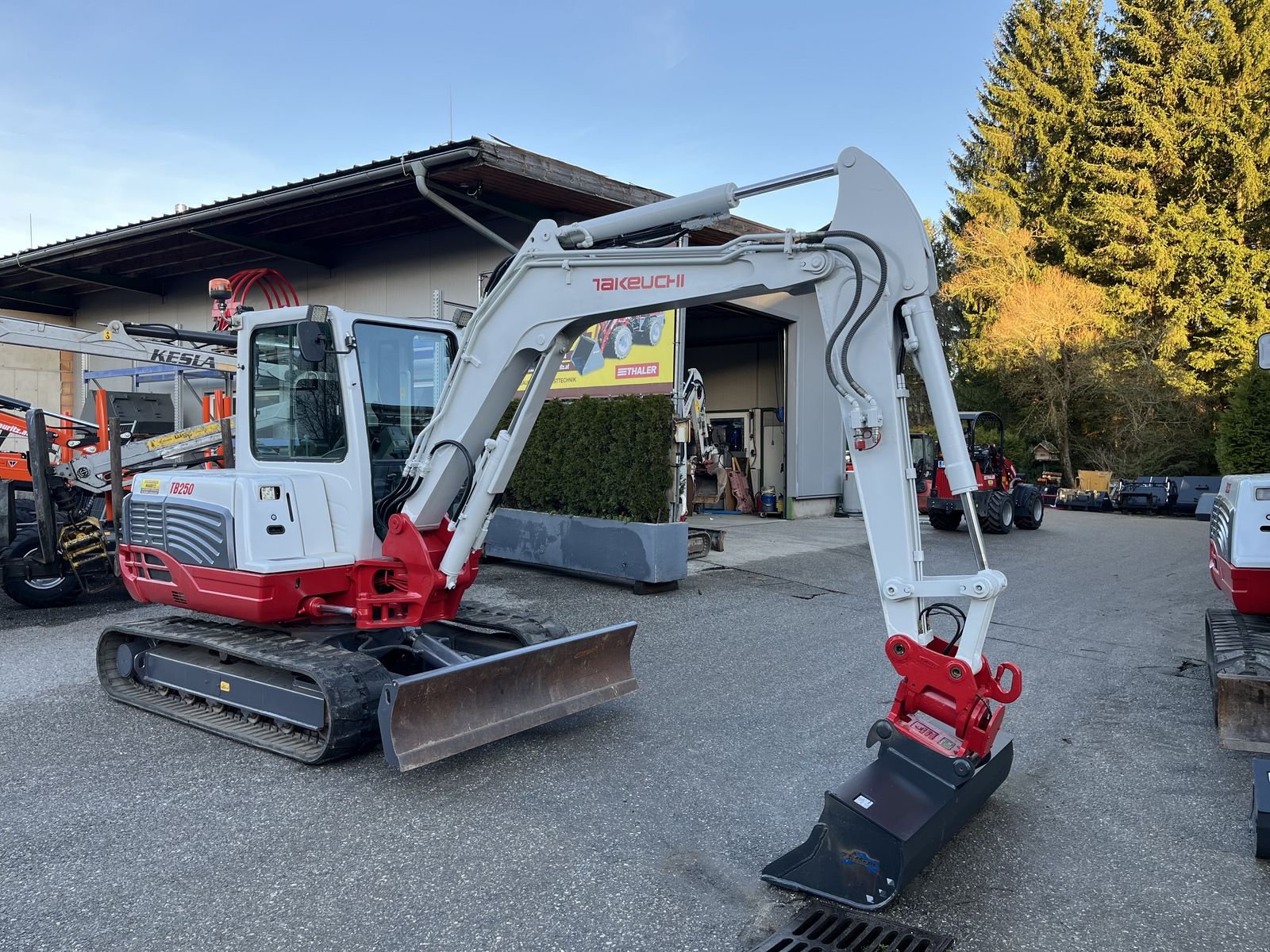 Minibagger del tipo Takeuchi TB 250 Powertilt, Gebrauchtmaschine In Bad Leonfelden (Immagine 1)