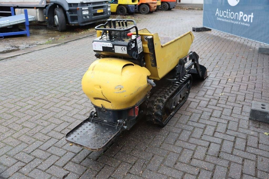 Minidumper типа Cormidi C10.80AC, Gebrauchtmaschine в Antwerpen (Фотография 7)