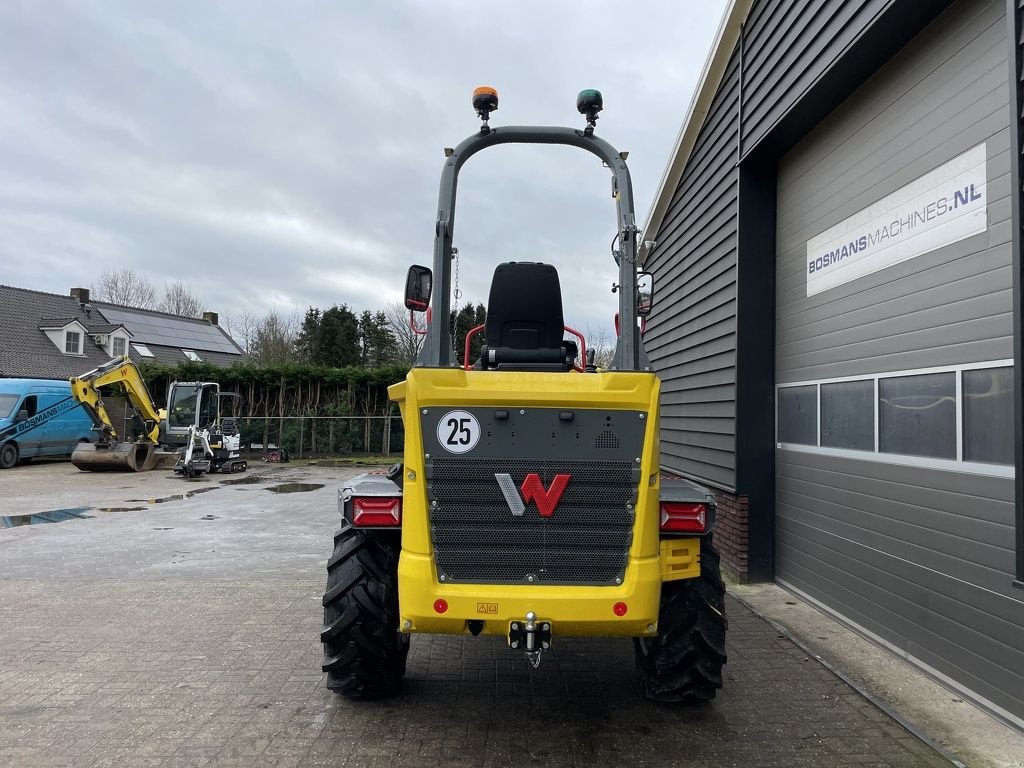 Minidumper typu Neuson DW60 wiel dumper NIEUW, Neumaschine w Neer (Zdjęcie 10)