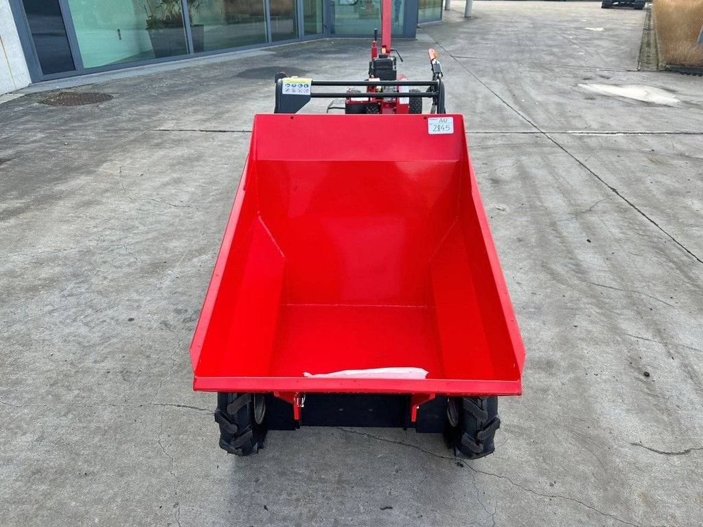 Minidumper типа Sonstige AGT Industrial T30, Neumaschine в Antwerpen (Фотография 3)