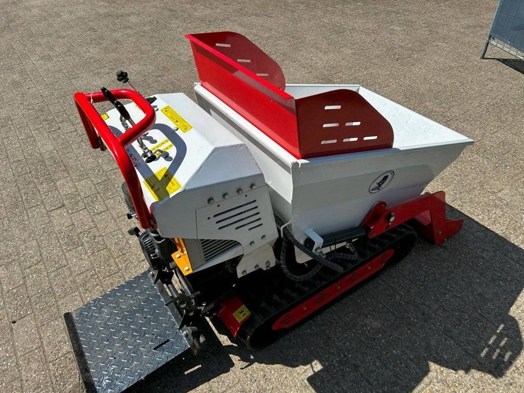 Minidumper del tipo Sonstige CMD500, Gebrauchtmaschine In Antwerpen (Immagine 8)