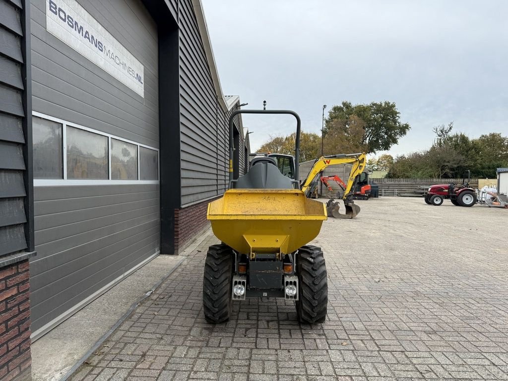 Minidumper типа Sonstige Neuson 1001 wieldumper, Gebrauchtmaschine в Neer (Фотография 5)