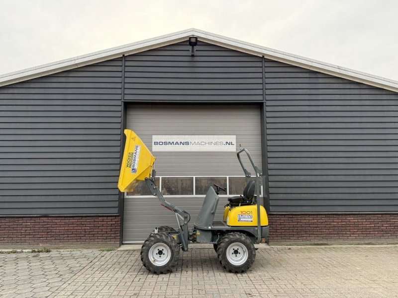 Minidumper des Typs Sonstige Neuson 1001 wieldumper, Gebrauchtmaschine in Neer (Bild 1)