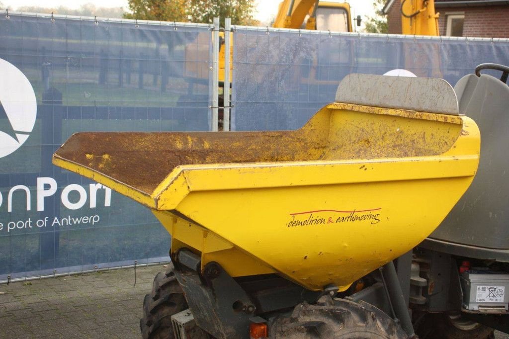 Minidumper tipa Sonstige Neuson 1501, Gebrauchtmaschine u Antwerpen (Slika 10)