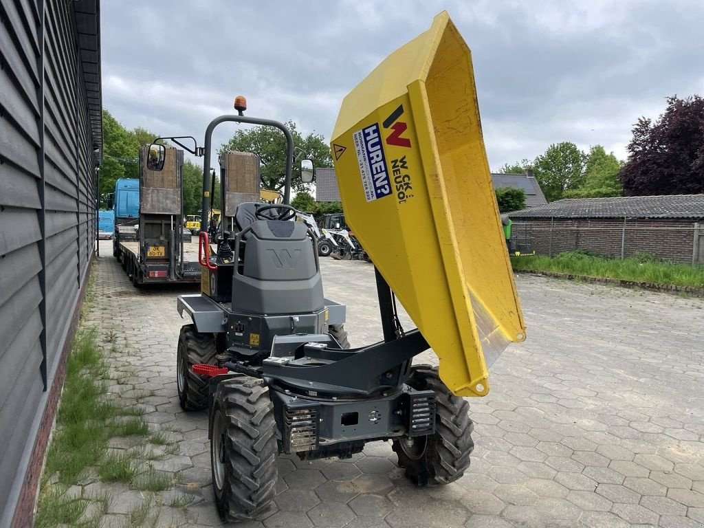 Minidumper des Typs Sonstige Neuson TE HUUR DW20 wieldumper, Gebrauchtmaschine in Neer (Bild 9)