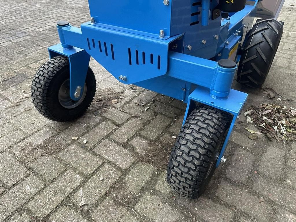 Minidumper of the type Sonstige Onbekend Delmer, Neumaschine in Goudriaan (Picture 10)