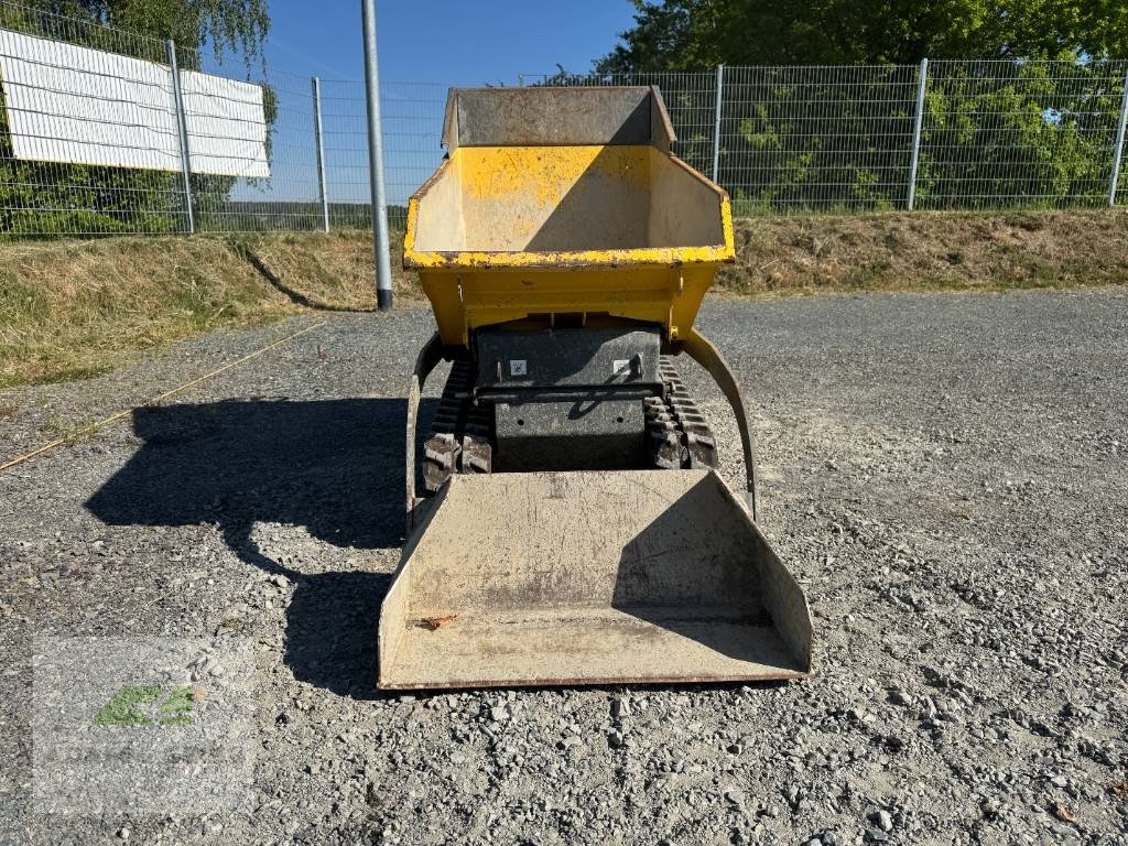 Minidumper tip Wacker Neuson DT10, Gebrauchtmaschine in Neudrossenfeld (Poză 3)