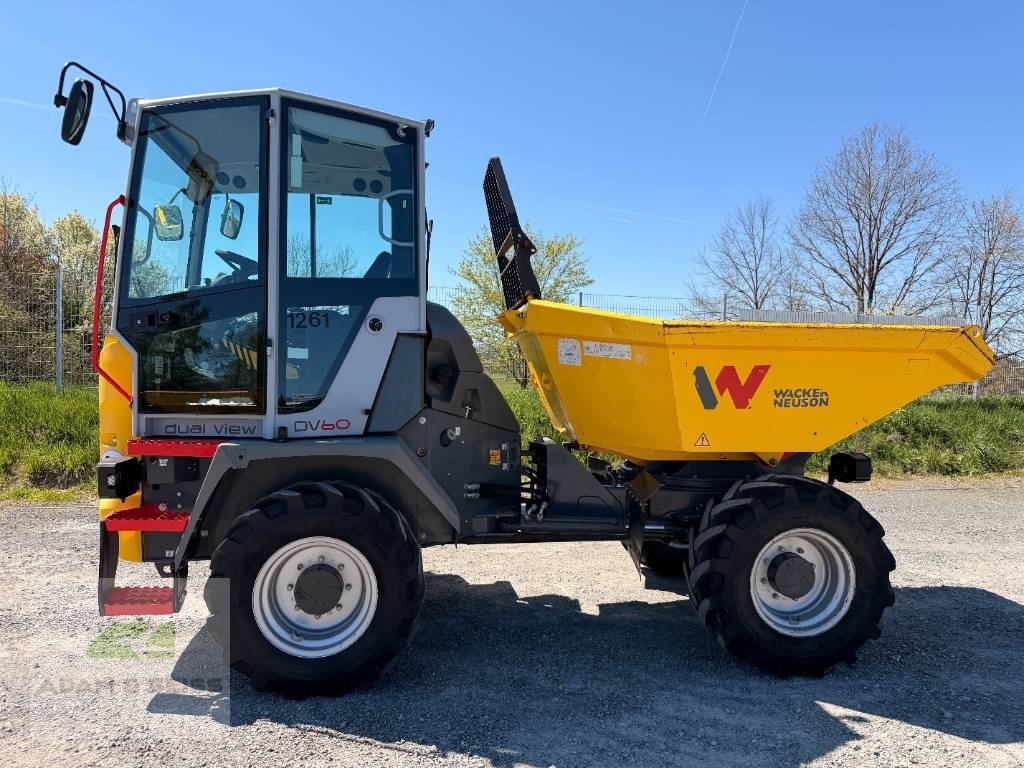 Minidumper типа Wacker Neuson DV60, Gebrauchtmaschine в Neudrossenfeld (Фотография 1)