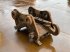 Mobilbagger za tip Verachtert CW55S, Gebrauchtmaschine u Velddriel (Slika 5)