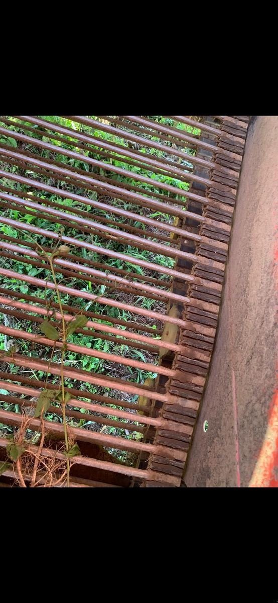 Möhrenvollernter typu Grimme HL 750, Gebrauchtmaschine v Feldkirchen (Obrázek 6)