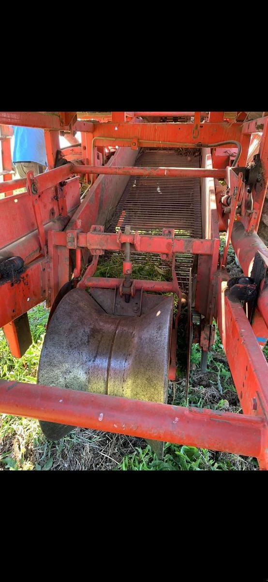 Möhrenvollernter typu Grimme HL 750, Gebrauchtmaschine v Feldkirchen (Obrázek 4)