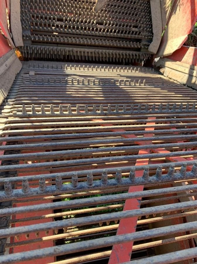 Möhrenvollernter typu Grimme HL 750, Gebrauchtmaschine v Feldkirchen (Obrázek 3)